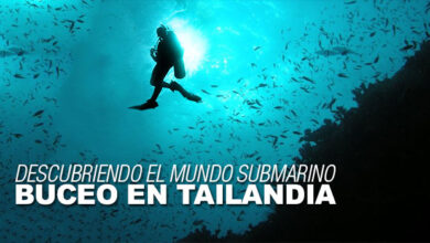 buceo-en-tailandia