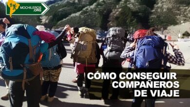 como conseguir compañeros de viaje