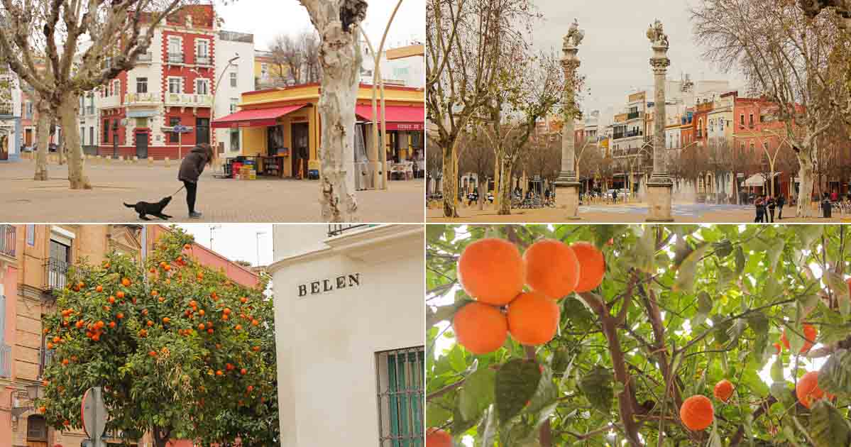 Hermosas calles de naranjos en Sevilla - Guia de Barcelona y Sevilla