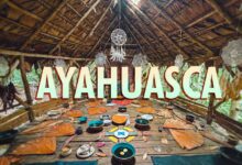 Como y donde realizar un Ritual de Ayahuasca en Perú