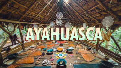 Top 5 Retiros de Ayahuasca. Cómo y dónde hacer el viaje de Ayahuasca. Como y donde realizar un Ritual de Ayahuasca en Perú