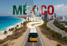 21 Rutas de Bus en México Para Recorrer el País de Forma Económica Rutas de bus en Mexico: Autobus de primera clase recorriendo una carretera escenica mexicana hacia el Caribe con mochileros a bordo, guia de transporte de Mochileros.org