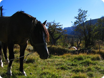 el_chalten_ruta_fitz_roy- 002
