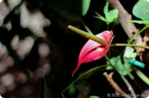 IMG_7157