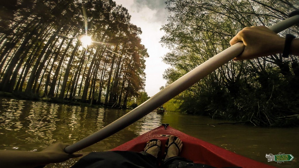 Que hacer en Buenos Aires Kayak Tigre 1