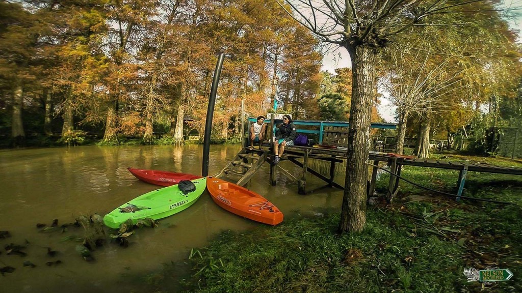 Que hacer en Buenos Aires Kayak Tigre 5