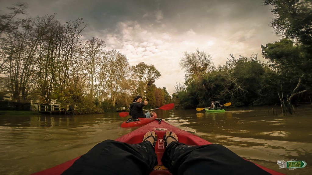 Que hacer en Buenos Aires Kayak Tigre 7