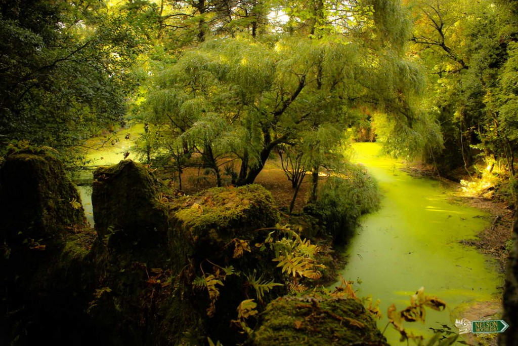 jardin Palacio da Brejoeira