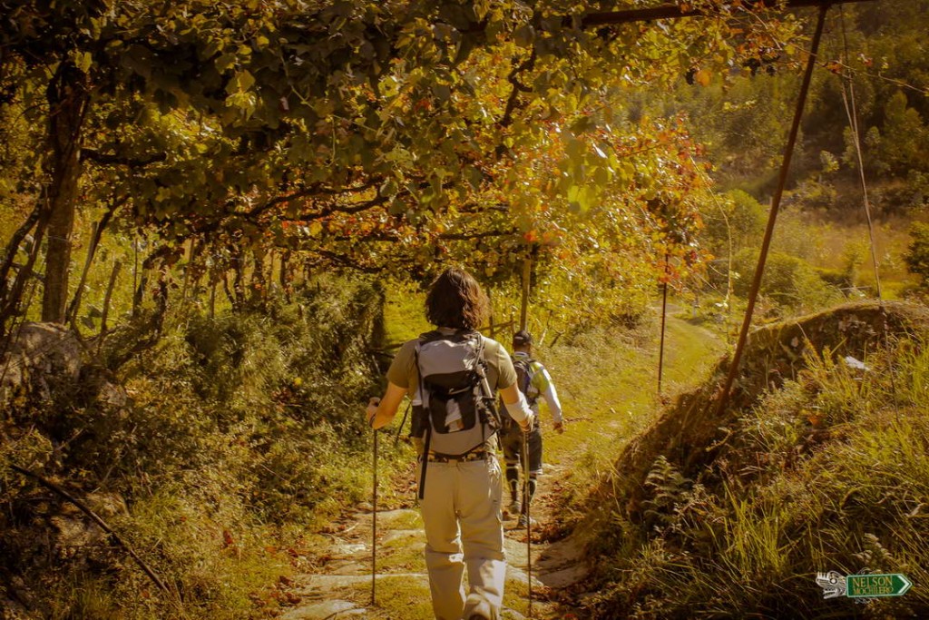 Caminata treekking en grupo - Portugal