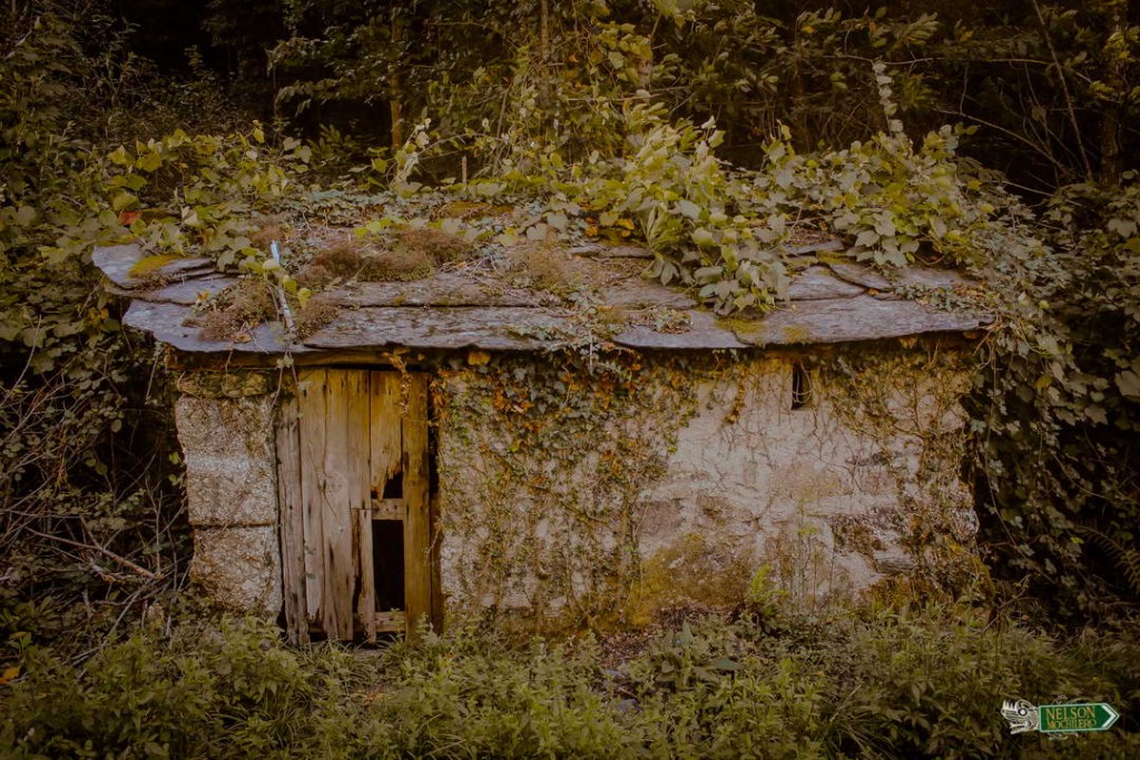 Casa vieja en el camino - Penafiel Portugal